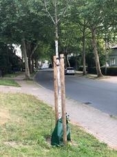 Bild vergr&ouml;&szlig;ern: IMG_1416