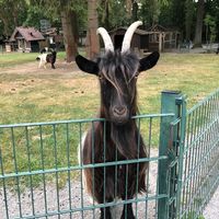 Bild vergr��ern: IMG_1515
