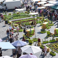 Bild vergr��ern: markthalle_eroeffnung10