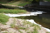 Bild vergr&ouml;&szlig;ern: DSC_6636