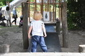 Bild vergr&ouml;&szlig;ern: Spielplatz Kleiberweg: Der Gurtsteg musste bleiben