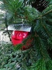 Bild vergr&ouml;&szlig;ern: Pressefoto Adventsquiz der Tourist-Information�Pro Herford GmbH