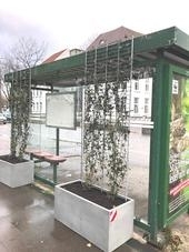 Bild vergr&ouml;&szlig;ern: Buswarteh�uschen1