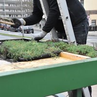 Bild vergr��ern: Begr�nung_Bushaltestelle2