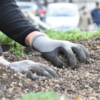 Bild vergr��ern: Begr�nung_Bushaltestelle3