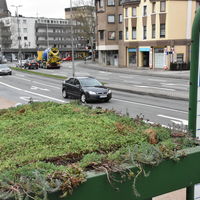 Bild vergr��ern: Begr�nung_Bushaltestelle4