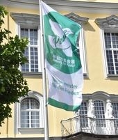 Bild vergr&ouml;&szlig;ern: Mayors for Peace