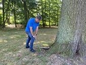 Bild vergr&ouml;&szlig;ern: Baumkontrolle3