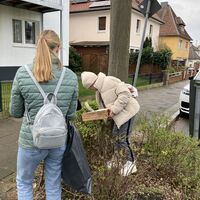 Bild vergr��ern: Ein Pizzakarton hat sich im Geb�sch versteckt.