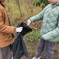 Bild vergr��ern: Plastikteilchen wurden mit am h�ufigsten gefunden.
