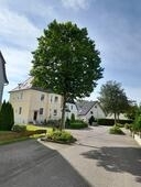 Bild vergr&ouml;&szlig;ern: Hainbuche