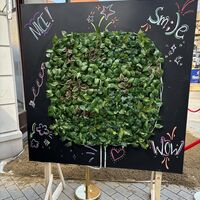 Bild vergr��ern: 001 Hoekerfest 2024
