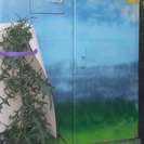 Bild vergr��ern: Kunstprojekt 155