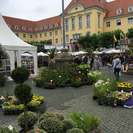 Bild vergr��ern: 100