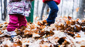 Bild vergr&ouml;&szlig;ern: herbstferien�design_miss_c pixabay