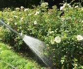 Bild vergr&ouml;&szlig;ern: Wasser marsch